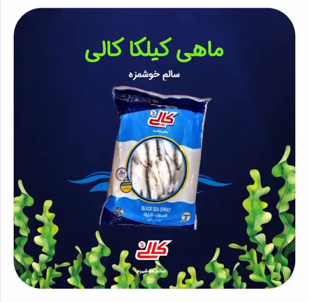 کیلکا کامل 500 گرم